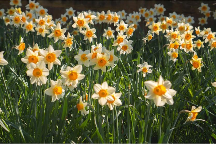 What does the Spring Budget 2022 mean for the property market?