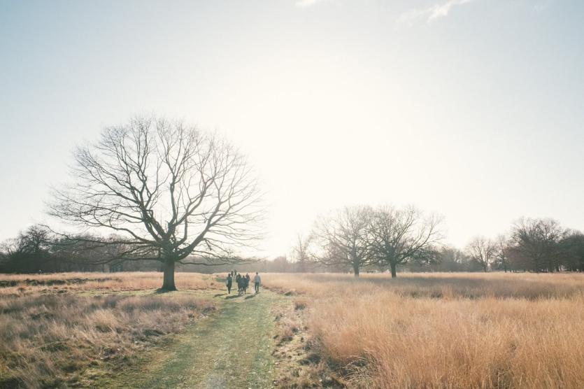 Top Ten Best Winter Walks in London