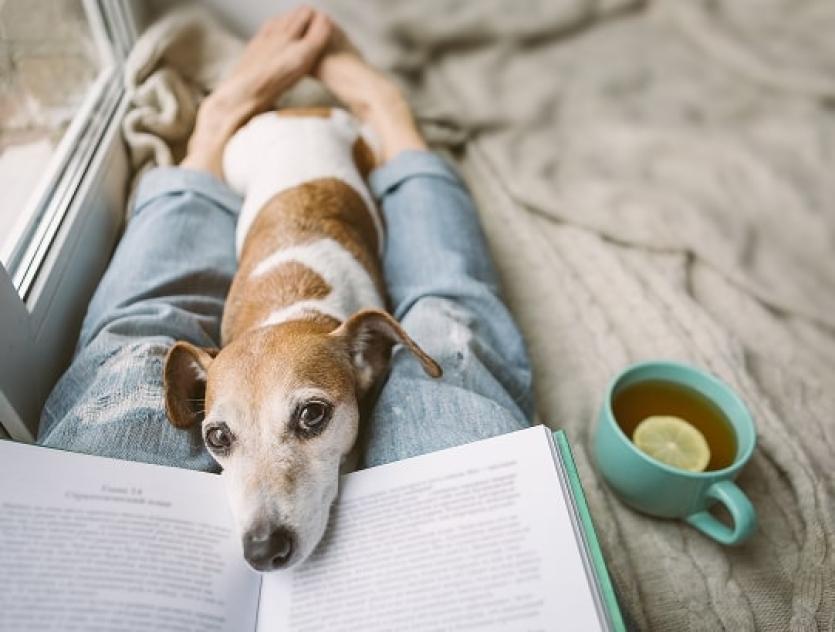 Changes to pet rules & tenant discrimination